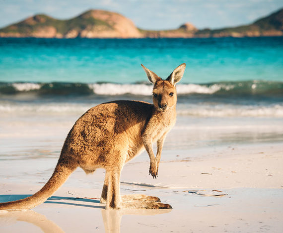 Pourquoi l'Australie ?