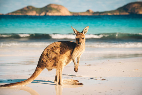 Pourquoi l'Australie ?